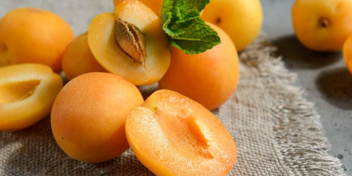 قیسی برای معده از میوه خشک مرغوب محصولی طبیعی